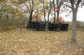 /album/pet-box/a301579-2125155980819-1603474874-31932720-1722453671-n-jpg/