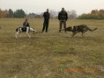 /album/tug-of-war/a293485-2129535690309-1603474874-31935794-1656107835-n-jpg/