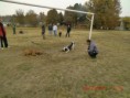 /album/tug-of-war/a377522-2129536490329-1603474874-31935798-995650709-n-jpg/