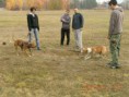 /album/tug-of-war/a389996-2129535330300-1603474874-31935793-1516824268-a-jpg/