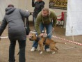 /album/preteky-tug-of-war-budapest/a310945-2211311934664-1603474874-31982206-708674940-n-jpg/
