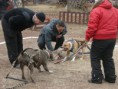 /album/preteky-tug-of-war-budapest/a313577-2211312174670-1603474874-31982207-802018846-n-jpg/