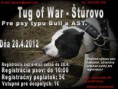 /album/fotogaleria-sutaz-tug-of-war-o-trofeje/snimka1-jpg2/