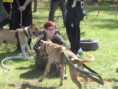 /album/tug-of-war/cimg7366-jpg/